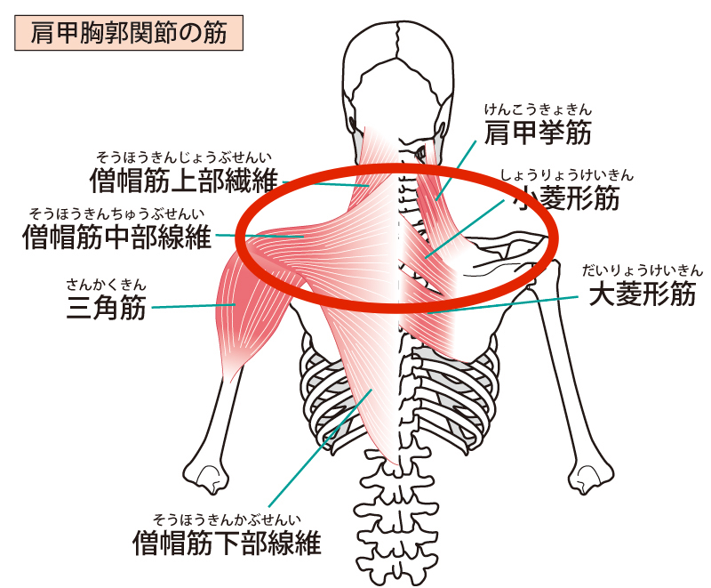 姿勢の教室　沖縄　那覇