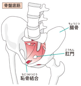 姿勢の教室　沖縄　那覇